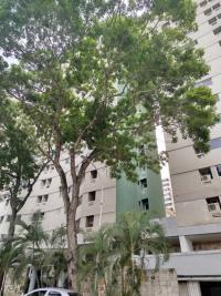 apartamento en venta valencia